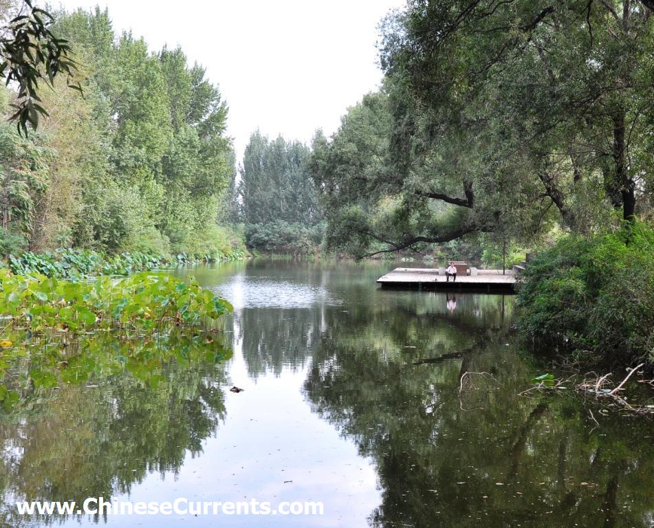 www.ChineseCurrents.com_0126.jpg