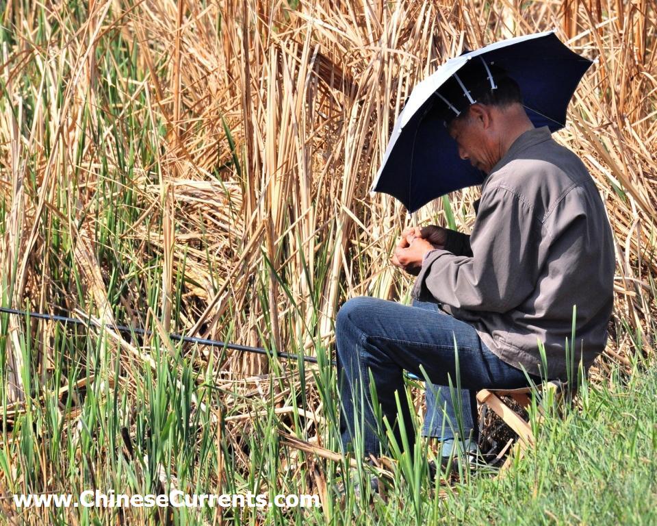www.ChineseCurrents.com_0174.jpg